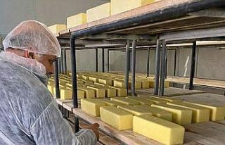 Gıda denetim timleri işbaşında