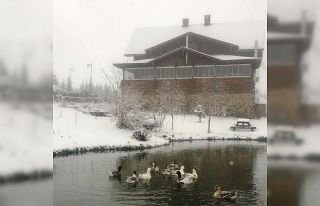 Giresun yaylaları beyaza büründü