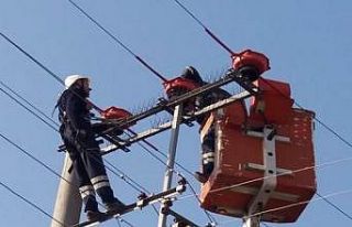 Göçmen kuşlar artık güvende