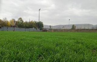 Gökmen Yıldıran antrenman sahası çimlendirildi