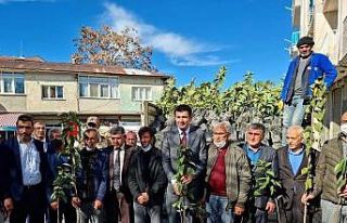 Gölbaşı’nda Hurma fidanı dağıtıdı