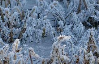 Göle eksi 10’u gördü