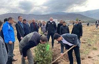 Güroymak’ta fidan dikimi