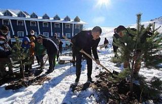 Hacılar Erciyes Kapı’da fidanlar toprakla buluştu