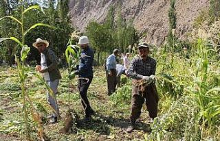 Hakkari’de kış hazırlığı