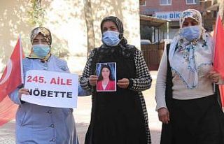 Hakkarili anne, 8 yıldır PKK’nın elinde olan...