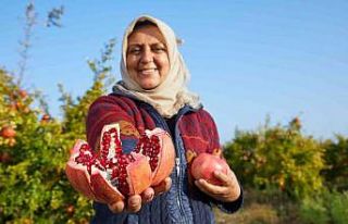 Halka arzlar artıyor, bir şirket daha borsada işlem...