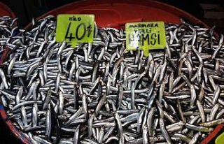 Hamsi azaldı, fiyatlar arttı