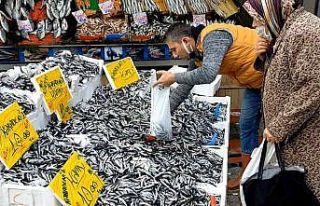 Hamsinin kilosu 10 TL’ye düştü, vatandaşlar...