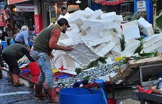 Hamsinin kilosu 5 TL’ye düştü, dakikalar içerisinde...