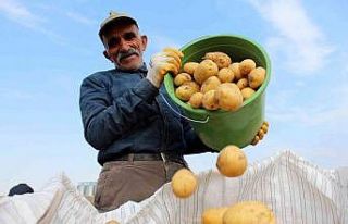 Hasatta son günler, tarlada 2 markette 5 lira