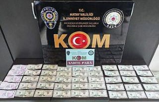 Hatay’da sahte para operasyonu