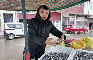 Hava koşulları hamsiyi etkiledi