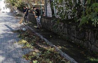 Havza Belediyesi’nden sonbahar temizliği