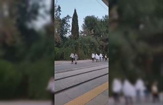 Hayalet patencilerin tehlikeli yolculuğu
