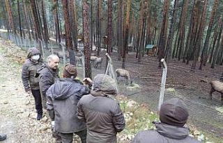 Hayvan üretim istasyonlarında inceleme yapıldı