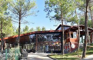 Heyecan kafe adrenalin tutkunlarını bekliyor