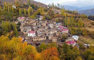 Hizan’ın taş evleri sonbaharla eşsiz manzara...