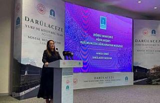 Hülya Avşar: "Eğer ki parti meselesinin dışında...