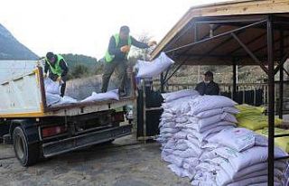 İbradılı üreticilere 3 ton hibe buğday tohumu...