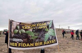 Iğdır’da ‘Geleceğe Nefes, Dünyaya Nefes’...