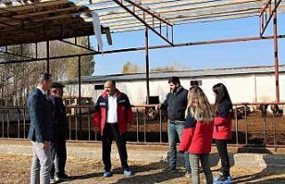 Iğdır’da hayvan işletmeleri ziyaret ediliyor