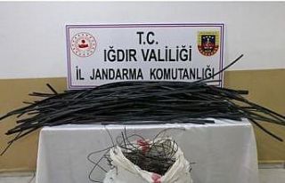 Iğdır’da kablo hırsızlığı: 1 kişi tutuklandı