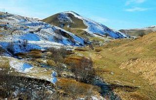 İklim değişikliği Posof’u etkiliyor