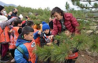 İlkokul öğrencileri tohumdan fidana uzanan süreci...