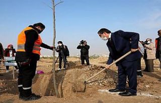 İnönü üniversitesinde yeni açılan bulvar ağaçlandırılıyor