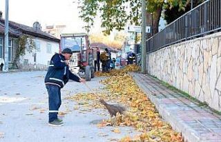 İnönü’de sonbahar temizliği