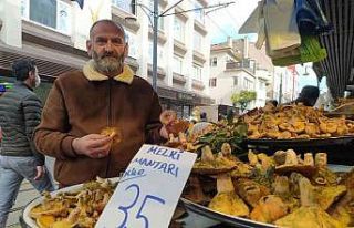 İnsanlar zehirli sanıp korkuyor, faydaları saymakla...