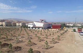 İpekyolunda park ve bahçeler kışa hazırlanıyor