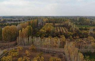 İrem Bağları’nda masal gibi sonbahar