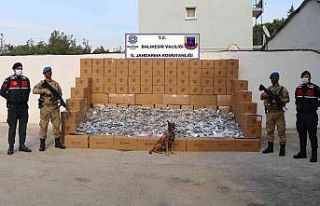 İstanbul ve Balıkesir’de 2,4 milyon uyuşturucu...