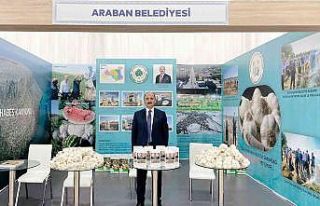 İstanbul’da Araban’da yetişen tarım ürünleri...