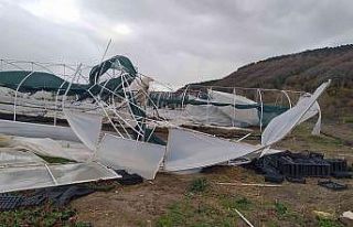 İstanbul’da etkili olan lodos seraları vurdu