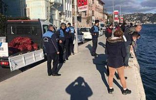 İstanbul’da kaçak avlanılan 2.5 ton midye ele...