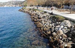 İstanbul’da tedirgin eden görüntü: Beykoz’da...