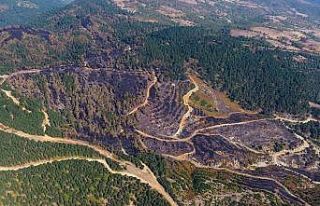 İvrindi’de 57 fidan toprakla buluştu