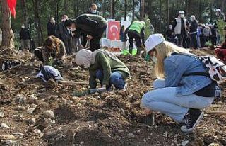İzmir’de 65 bin fidan toprakla buluştu