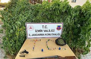 İzmir’de uyuşturucu operasyonları: 12 turuklama