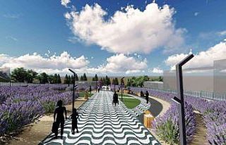 İzmit’e lavanta parkı yapılacak