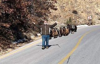 Jandarma kaybolan keçileri dronla buldu