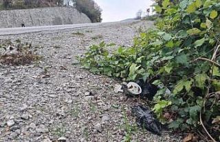 Jandarma, kazaya karışan aracı kırılan aynasından...