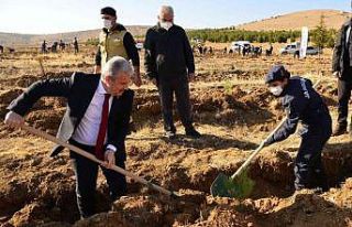 Jandarma Şehitler Ormanına fidan dikildi