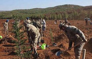 Jandarmadan fidan dikme etkinliği