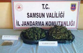Jandarmadan uyuşturucu operasyonu: 1 gözaltı