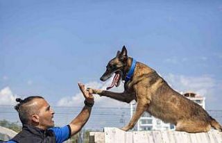 K-9 köpekleri Mersin itfaiyesinin gözü kulağı...