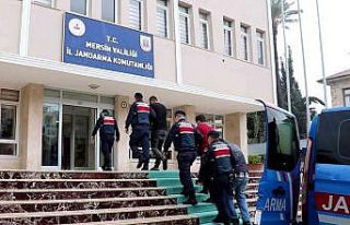 Kablo ve ev hırsızları yakalandı